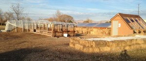 Grand Junction Vermicompost Site