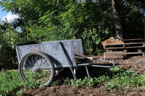 wheelbarrow old